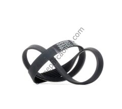 DAYCO 6PK872 | BMW MINI R50 V KAYISI