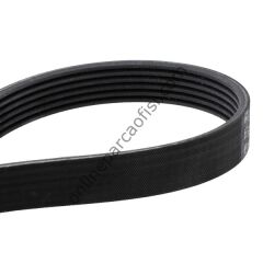 CONTITECH C 6PK 1217 | FORD FOCUS V KAYISI