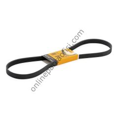 CONTITECH C 6PK 1217 | FORD FOCUS V KAYISI