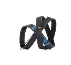 DAYCO 143RP254 | PSA 106 TRIGER KAYISI