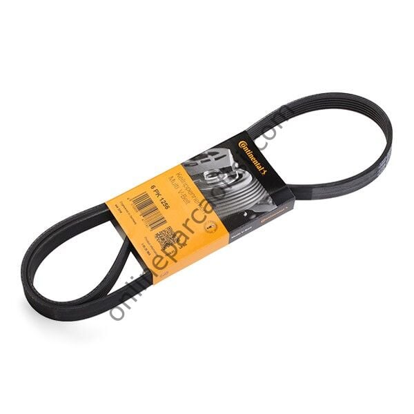 CONTITECH C 6PK 1256 | FIAT BRAVO/STILO V KAYISI