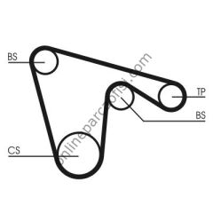 CONTITECH CT 970K1 | FIAT ALFA 145/146/156 TRIGER SETI