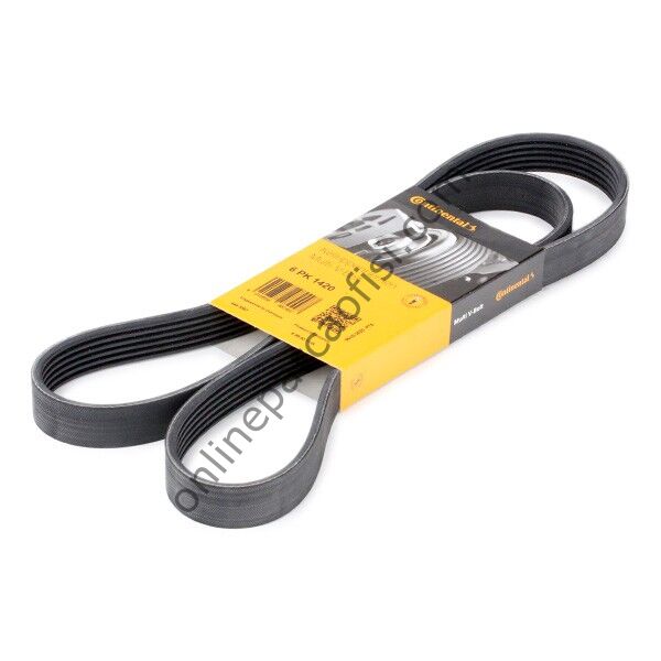 CONTITECH C 6PK 1420 | RENAULT CONNECT FOCUS ESCORT CLIO VOYAGER V KAYISI