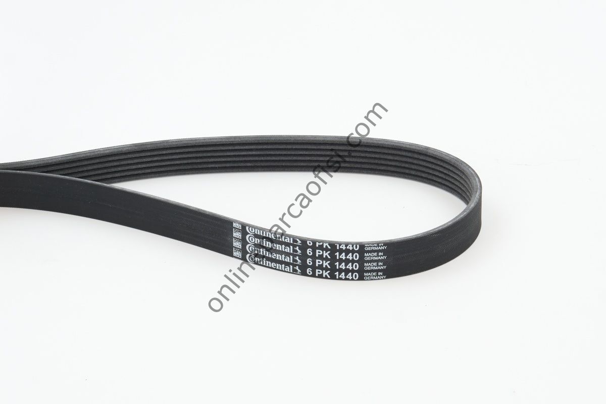CONTITECH C 6PK 1440 | PSA BM V KAYISI