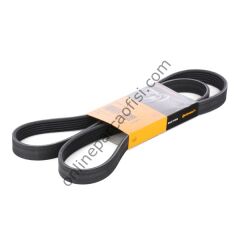 CONTITECH C 6PK 1460 | FORD CONNECT/FOCUS V KAYISI