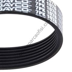DAYCO 7PK1076 | FIAT DUCATO /ALFA: 145-146-155-156 V KAYISI