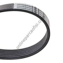 CONTITECH C 6PK 1560 | PSA 206 V KAYISI