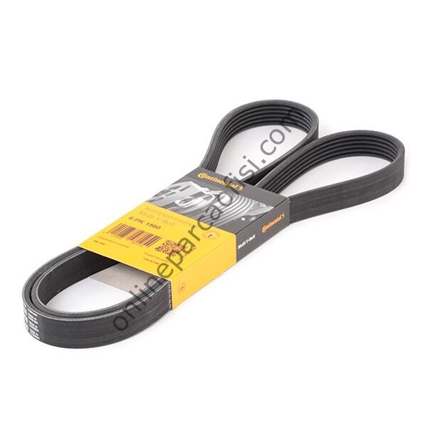 CONTITECH C 6PK 1560 | PSA 206 V KAYISI