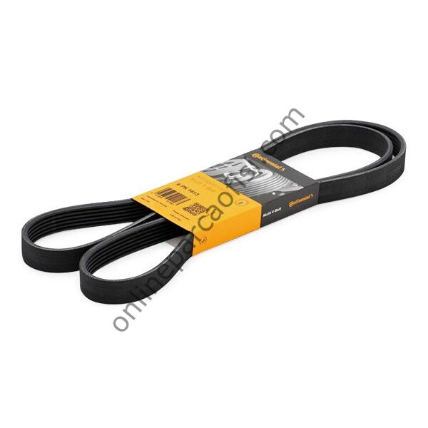 CONTITECH C 6PK 1613 | VW PASSAT-CRAFTER V KAYISI