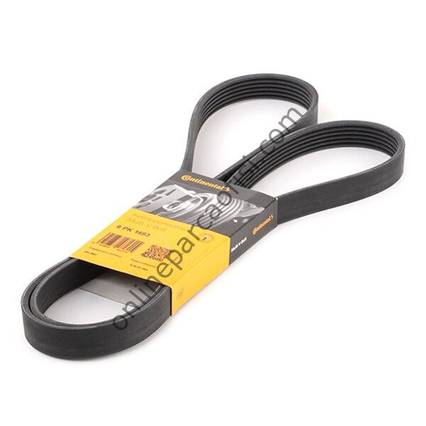 CONTITECH C 6PK 1693 | VW POLO-JETTA-T4 V KAYISI