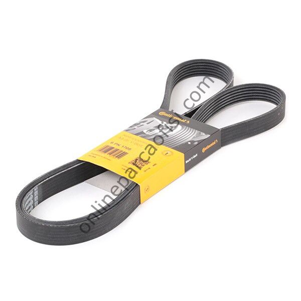 CONTITECH C 6PK 1705 | FORD FIESTA V KAYISI