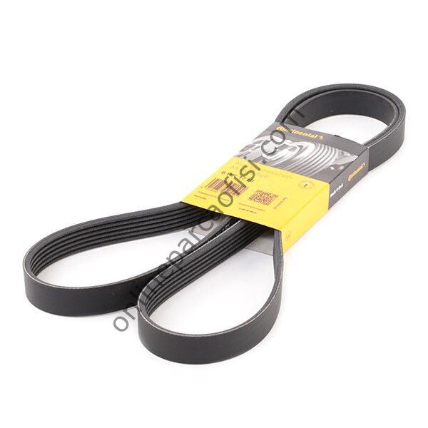 CONTITECH C 6PK 1710 | PSA PARTNER V KAYISI