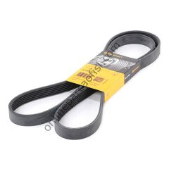 CONTITECH C 6PK 1725 | OPEL ASTRA F VECTRA A-B V KAYISI