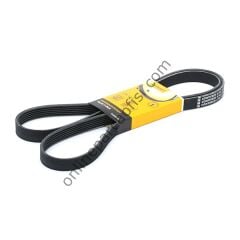 CONTITECH C 6PK 1750 | FORD FIESTA/VOLVO V KAYISI