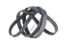 CONTITECH C 6PK 1780 | FORD FIESTA V KAYISI