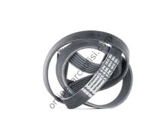 CONTITECH C 6PK 1815 | FORD ESCORT-CLX-CONNECT/DOBLO V KAYISI