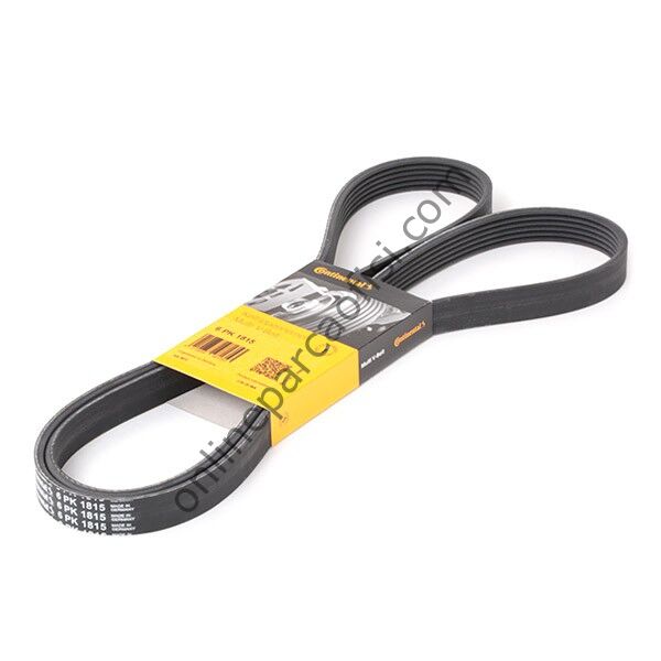 CONTITECH C 6PK 1815 | FORD ESCORT-CLX-CONNECT/DOBLO V KAYISI