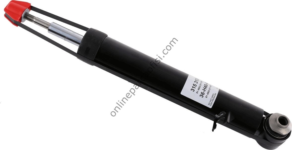 SACHS 315 313 | BMW X5 E70-X6 E71 AMORTISÖR ARKA