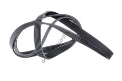 CONTITECH C 6PK 1856 | VW A4 V KAYISI