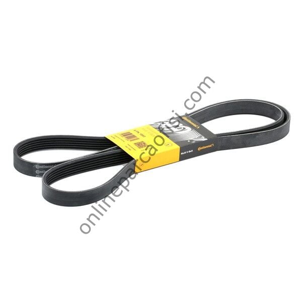 CONTITECH C 6PK 1893 | FORD FOCUS V KAYISI