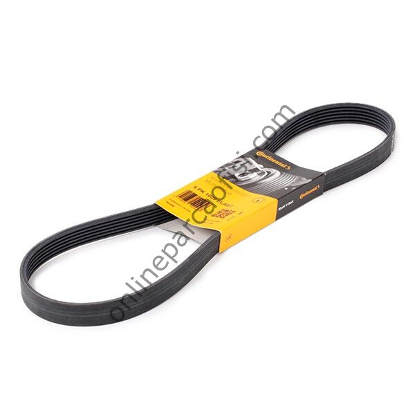 CONTITECH C 6PK1029T1 | FORD FIESTA MONDEO B-MAX V KAYISI