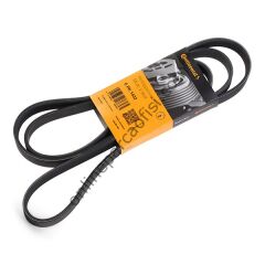 CONTITECH C 6PK 1980 | FORD FOCUS V KAYISI