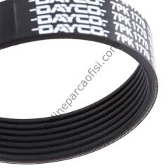 DAYCO 7PK1770 | RENAULT V KAYISI