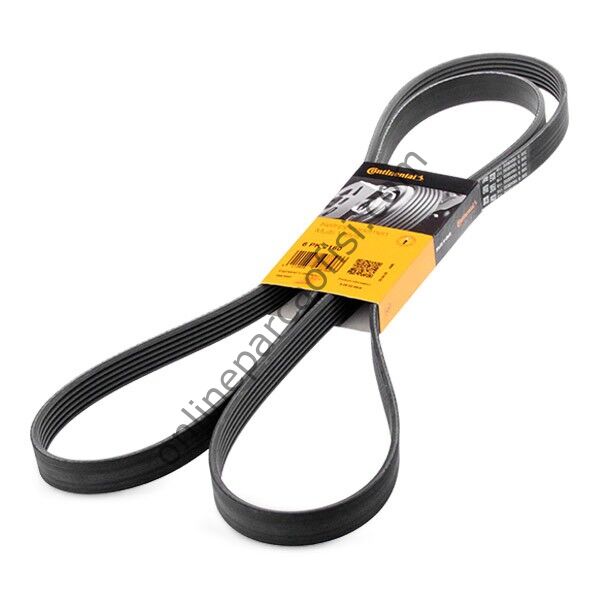 CONTITECH C 6PK 2160 | MERCEDES VITO.108,111,113.CDI V KAYISI