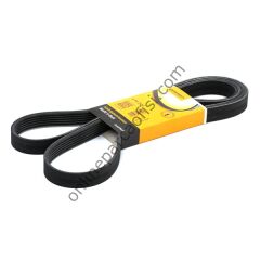 CONTITECH C 6PK 2404 | VW A4-A6-A8 V KAYISI