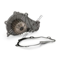 DAYCO DP061 | FORD FIESTA/FUSION/206/307/XS2/C3/C2 DEVIRDAIM