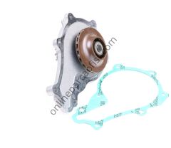 DAYCO DP077 | PSA 307/308/407/C4/C5/PARTNER/FOCUS/C-MAX DEVIRDAIM