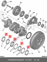 OE-PSA 0113.Z1 | PSA ANAYATAK