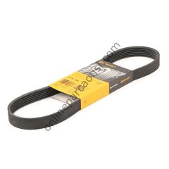 CONTITECH C 6PK 800 | PSA 301 V KAYISI