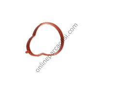 ELRING 359.370 | BMW E36-46 MANIFOLD CONTASI EMME