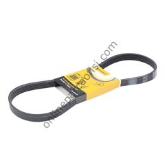 CONTITECH C 6PK 976 | FORD FOCUS/C-MAX V KAYISI