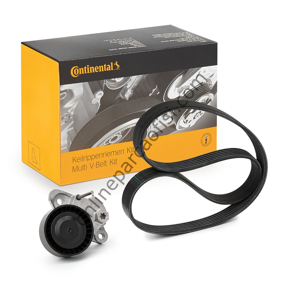 CONTITECH C 6PK1005K1 | VW GOLF7-POLO-PASSAT-JETTA-A3-LEON V KAYIS SETI