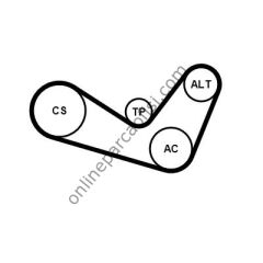 CONTITECH C 6PK1050K1 | VW GOLF5-CADDY-PASSAT-T5-A3-A4 V KAYIS SETI