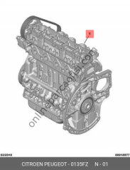 PSA 0135.FZ | 207 KOMPLE MOTOR