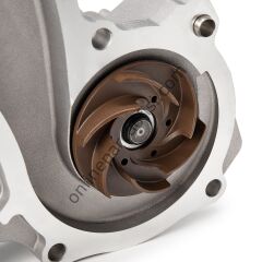 DAYCO DP245 | FORD FOCUS/FIESTA/MONDEO/MAZDA 2/S40 DEVIRDAIM