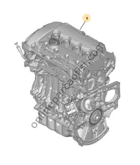 OE-PSA 0135.RJ | PSA 207/308 KOMPLE MOTOR