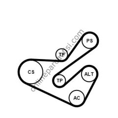 CONTITECH C 6PK1740K1 | PSA 307/PARTNER V KAYIS SETI