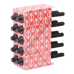 ELRING 151.890 | RENAULT MEGAN/CLIO/LAGUNA/FLUENCE/LAGUNA SILINDIR KAPAK SAPLAMASI
