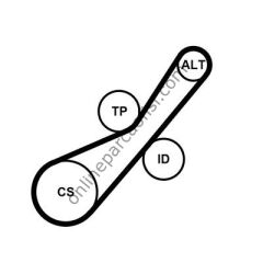 CONTITECH C 6PK800K2 | PSA 207/208/2008/PARTNER TEPEE V KAYIS SETI
