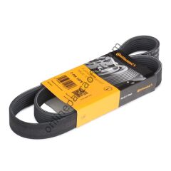 CONTITECH C 7PK 1076 | FIAT DUCATO /ALFA: 145-146-155-156 V KAYISI