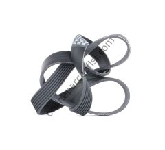 CONTITECH C 7PK 1272 | JAPON NAVARA (D40) V KAYISI