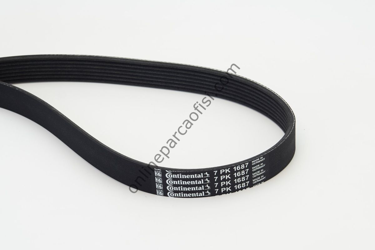 CONTITECH C 7PK 1687 | JAPON QASHQAI (J10, J11) : XTRAIL (T32) 1.6 DCI 14- V KAYISI