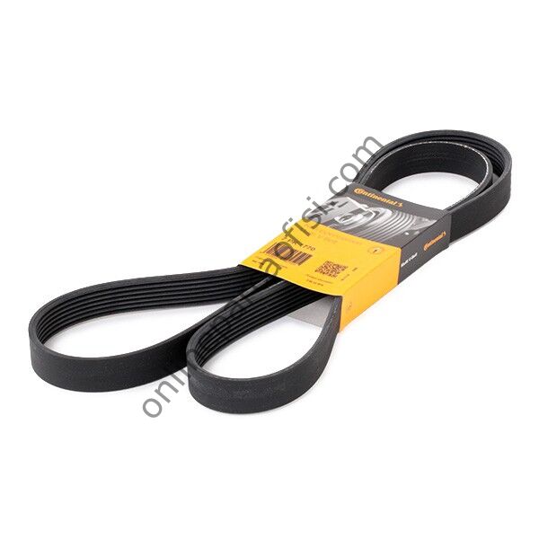 CONTITECH C 7PK 1770 | JAPON STREAM (RN) V KAYISI