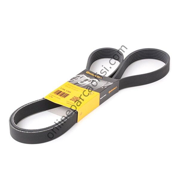 CONTITECH C 7PK 1785 | RENAULT MEGAN III/SCENIC III V KAYISI