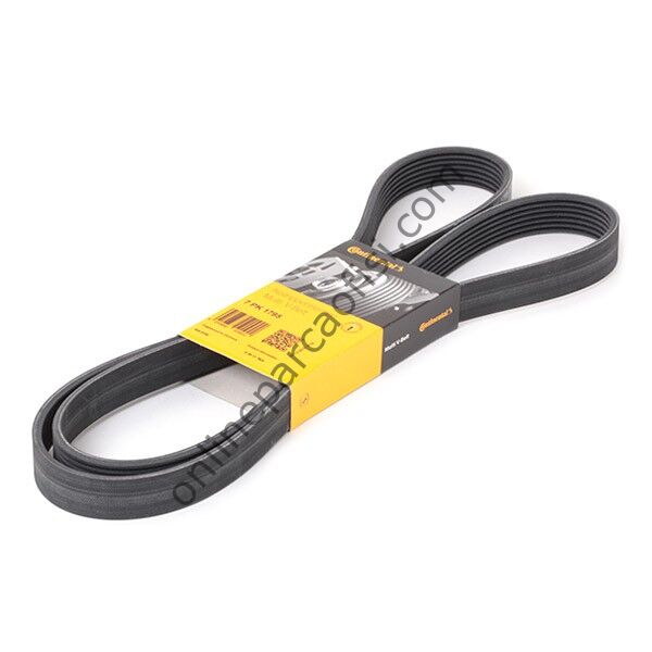 CONTITECH C 7PK 1795 | OPEL VIVARO / MOVANO V KAYISI