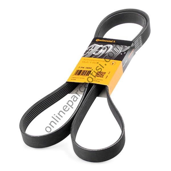 CONTITECH C 7PK 1855 | BMW E88-E90-E91 V KAYISI